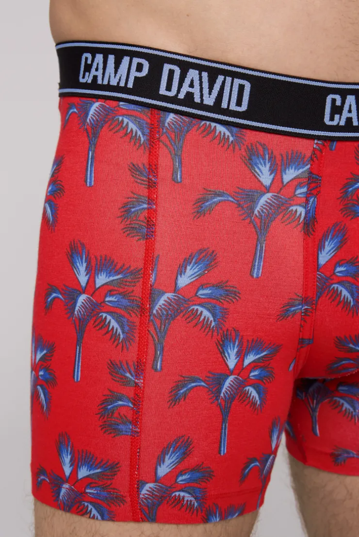 CAMP DAVID & SOCCX Boxershorts mit All Over Print, 2er-Pack surf grey / red Best Sale