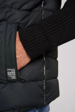 CAMP DAVID & SOCCX 2-in-1 Steppweste mit abtrennbaren Ärmeln blue navy bluenavy Hot